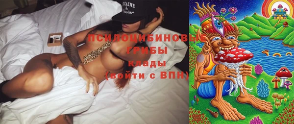 первитин Горнозаводск