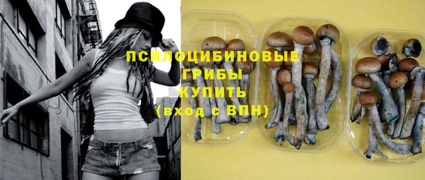 первитин Горнозаводск